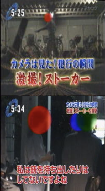 カメラは見た！犯行の瞬間